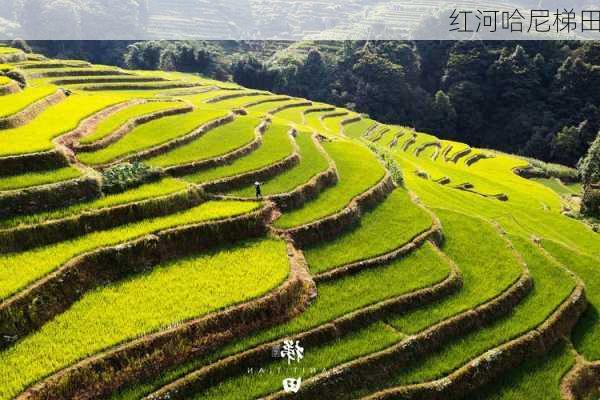 红河哈尼梯田