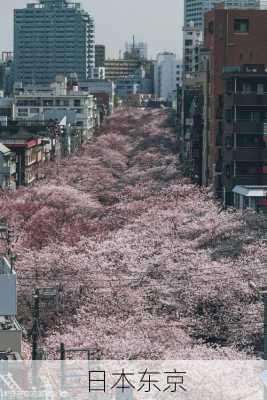 日本东京