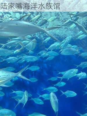 陆家嘴海洋水族馆