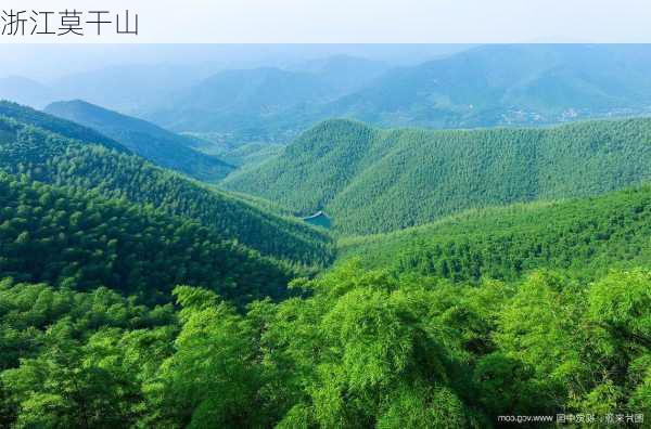 浙江莫干山