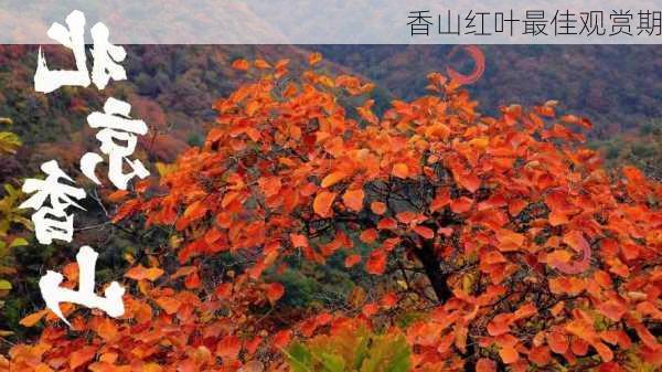 香山红叶最佳观赏期