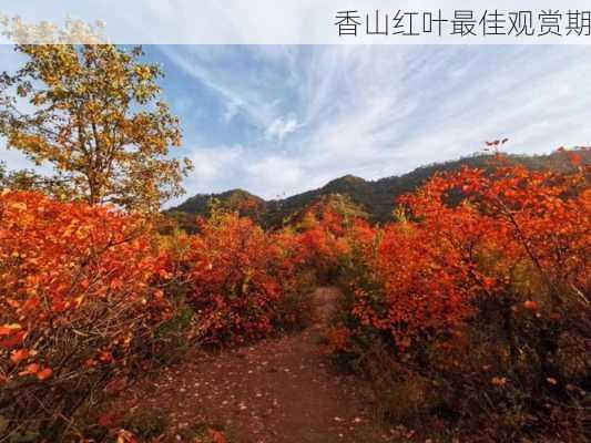 香山红叶最佳观赏期