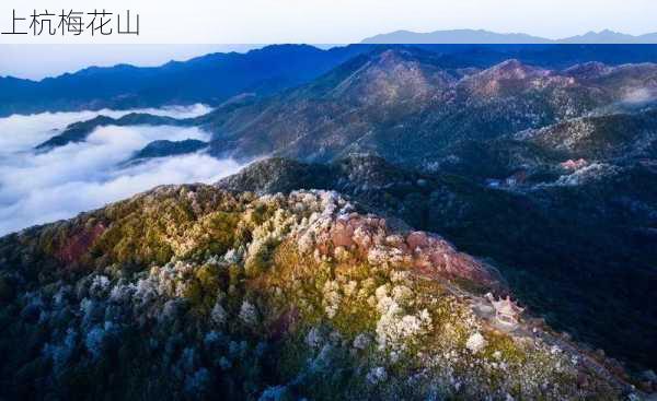 上杭梅花山