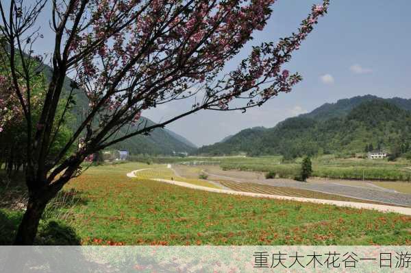 重庆大木花谷一日游