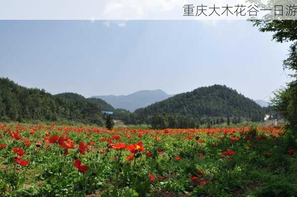 重庆大木花谷一日游