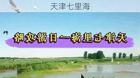 天津七里海