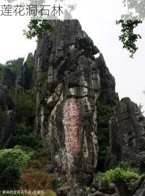 莲花洞石林