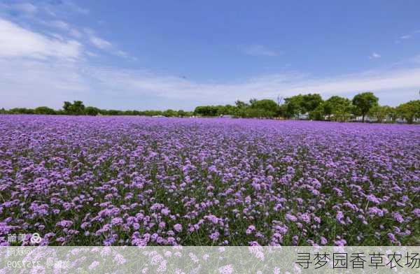 寻梦园香草农场