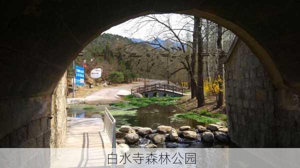 白水寺森林公园