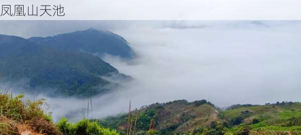 凤凰山天池