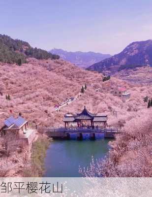 邹平樱花山