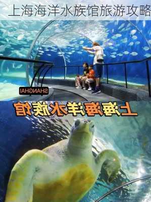 上海海洋水族馆旅游攻略