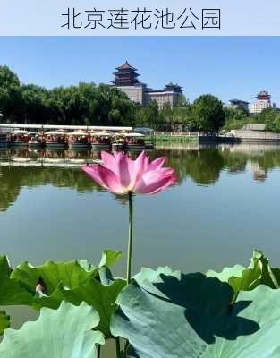 北京莲花池公园