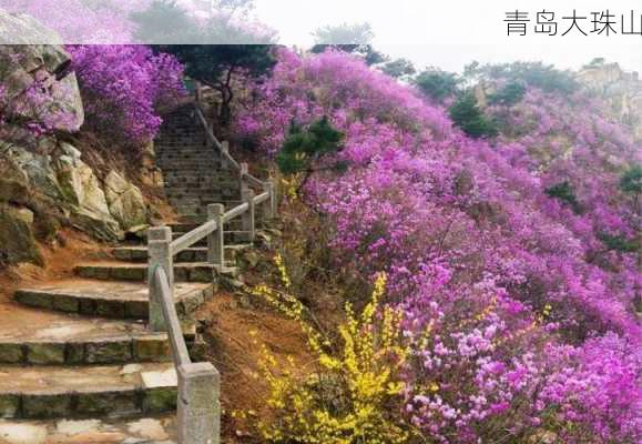 青岛大珠山