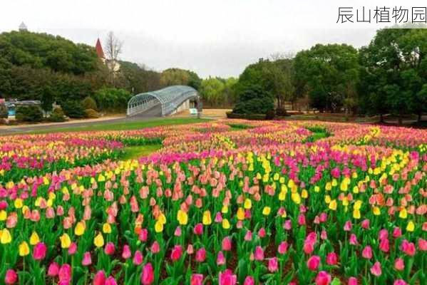 辰山植物园