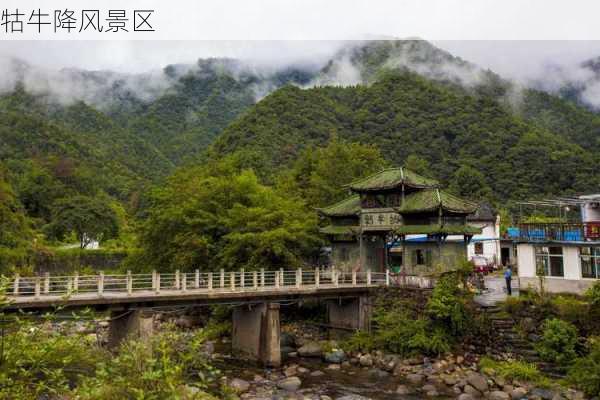 牯牛降风景区