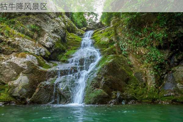 牯牛降风景区