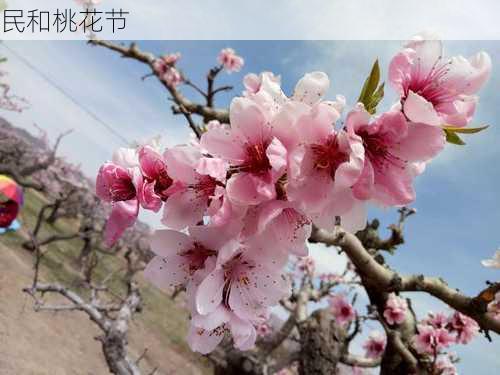 民和桃花节