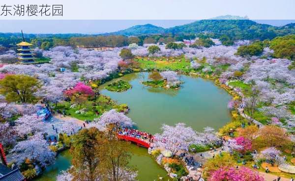 东湖樱花园