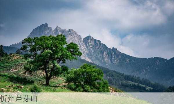 忻州芦芽山