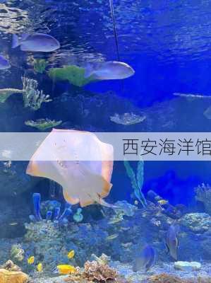 西安海洋馆