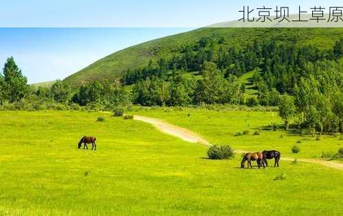 北京坝上草原