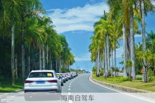 海南自驾车