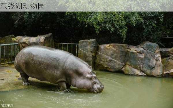 东钱湖动物园