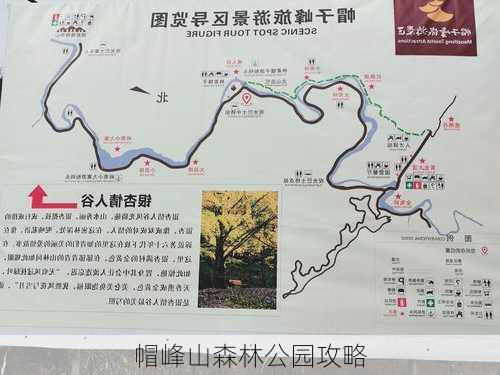 帽峰山森林公园攻略