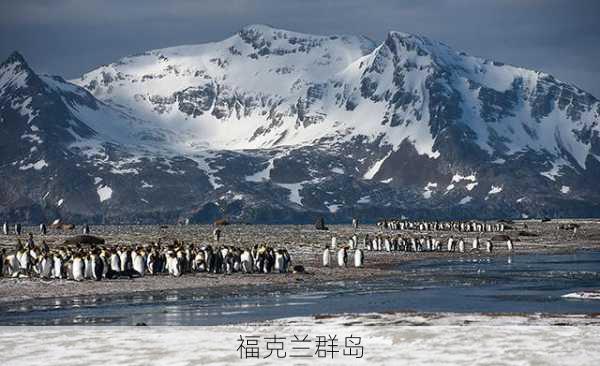 福克兰群岛