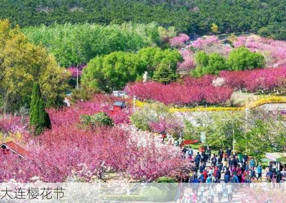 大连樱花节