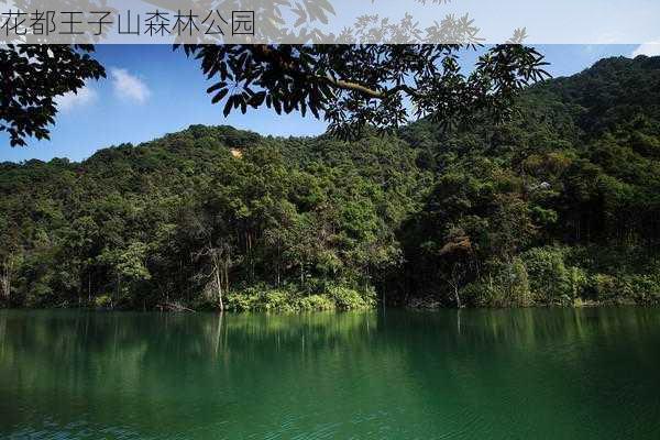 花都王子山森林公园