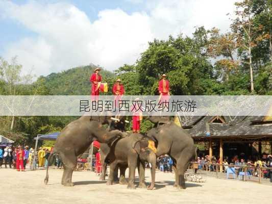 昆明到西双版纳旅游