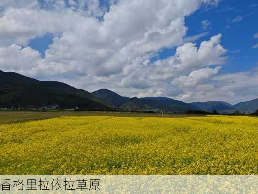 香格里拉依拉草原