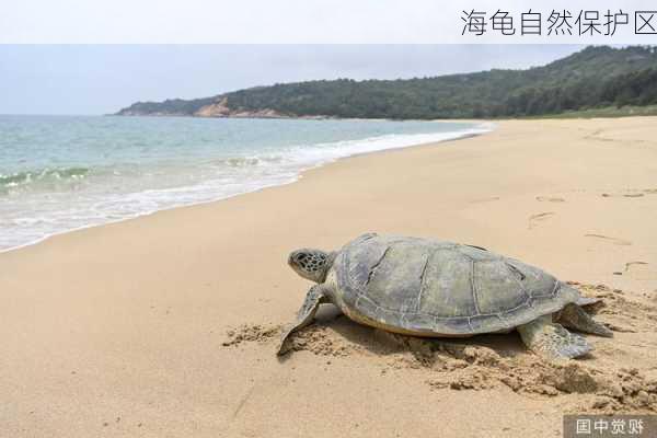 海龟自然保护区