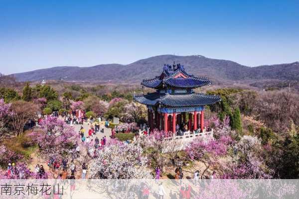 南京梅花山