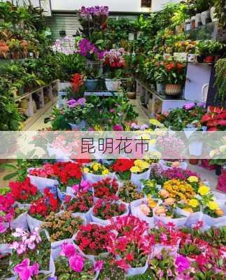 昆明花市