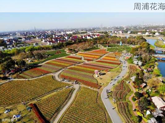 周浦花海