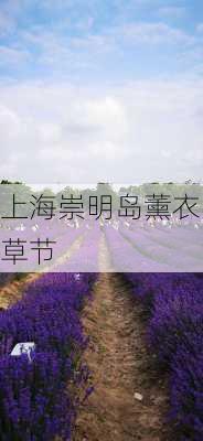 上海崇明岛薰衣草节