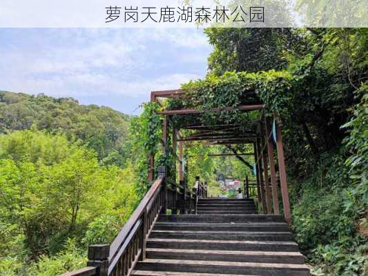 萝岗天鹿湖森林公园