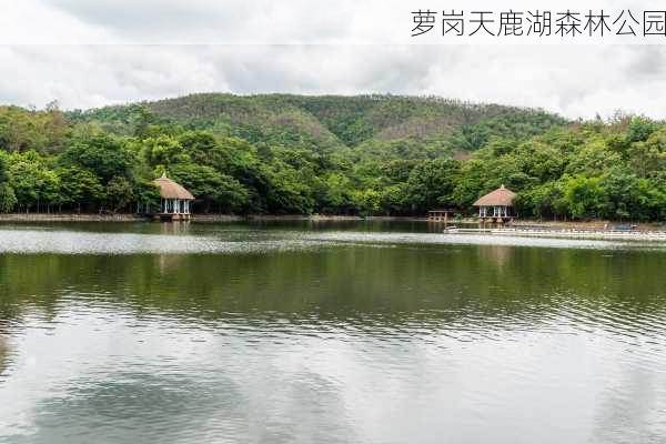 萝岗天鹿湖森林公园