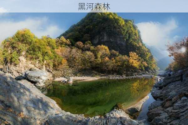 黑河森林