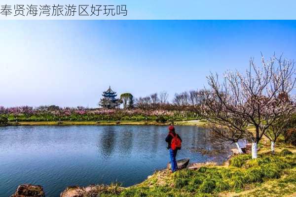 奉贤海湾旅游区好玩吗