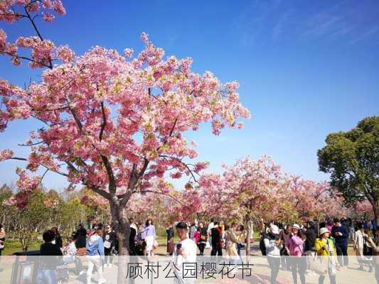 顾村公园樱花节