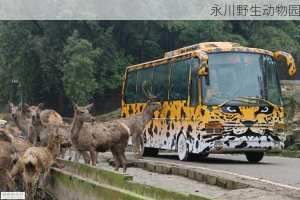 永川野生动物园