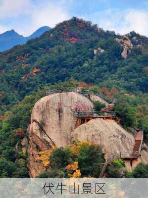 伏牛山景区