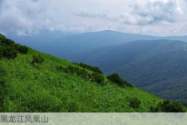 黑龙江凤凰山