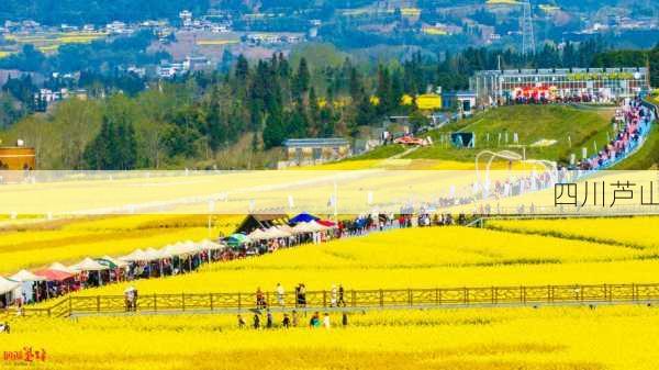 四川芦山