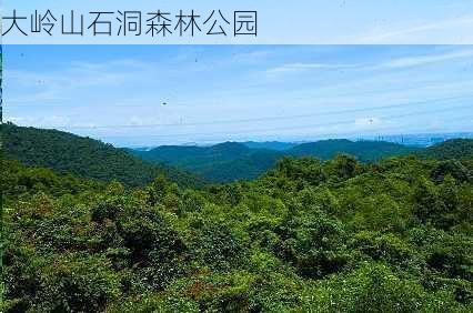 大岭山石洞森林公园