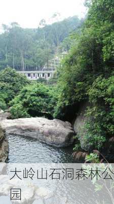 大岭山石洞森林公园